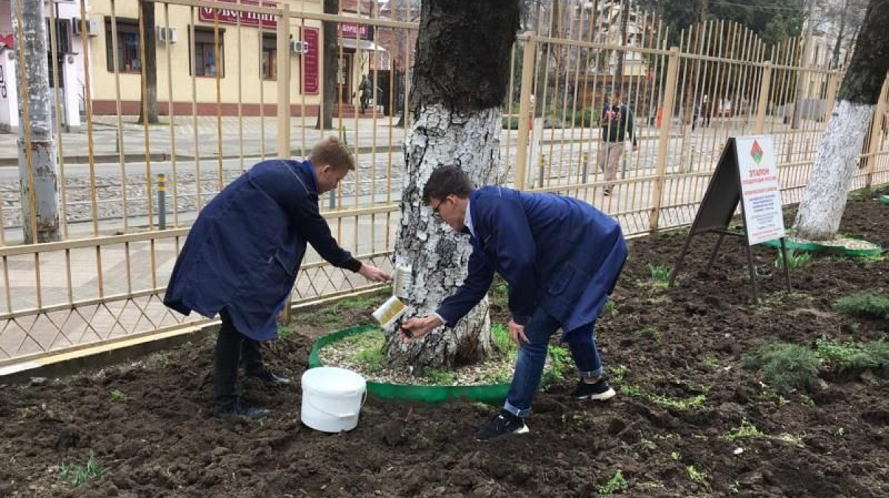 Молодежь Центрального округа активно участвует в субботниках
