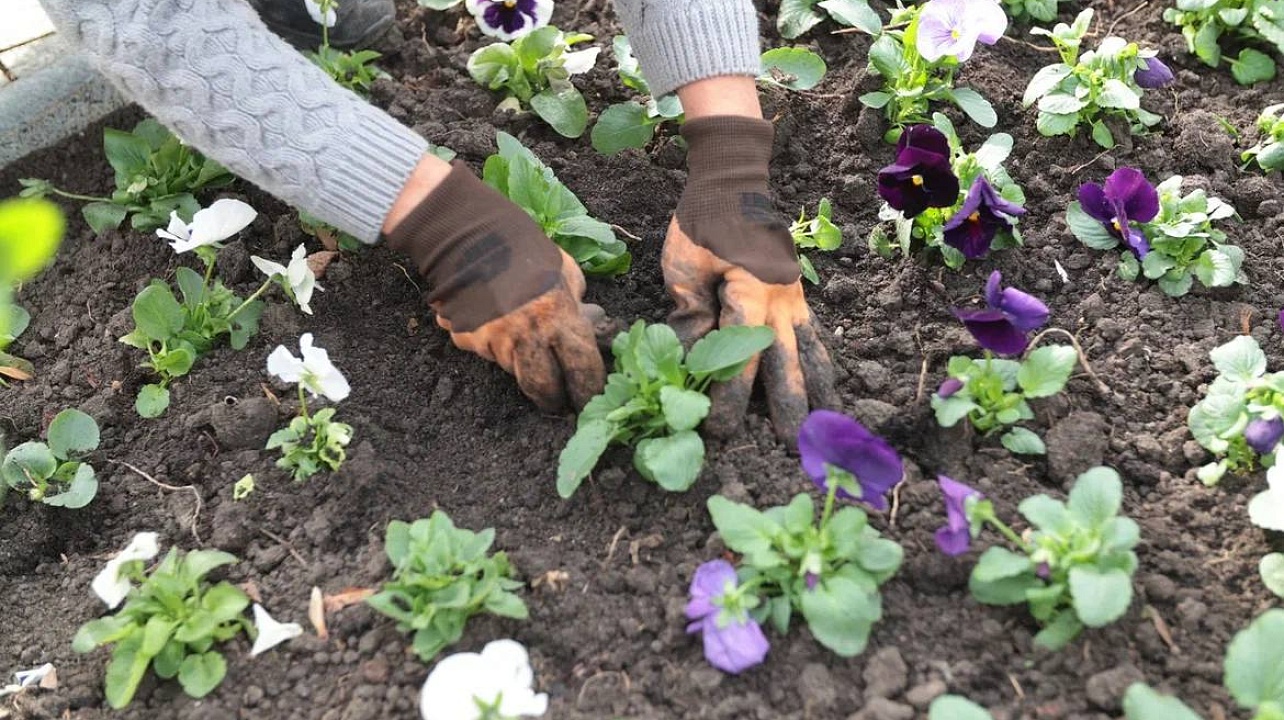 Фото: Станислав Телеховец