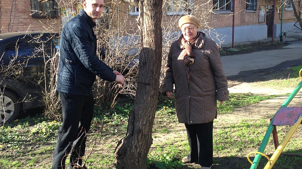 В Славянском микрорайоне проведут омоложение деревьев