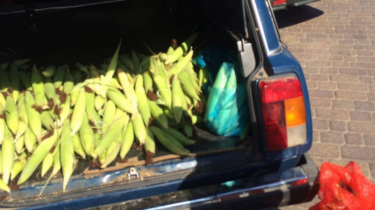 продолжается борьба с несанкционированной торговлей