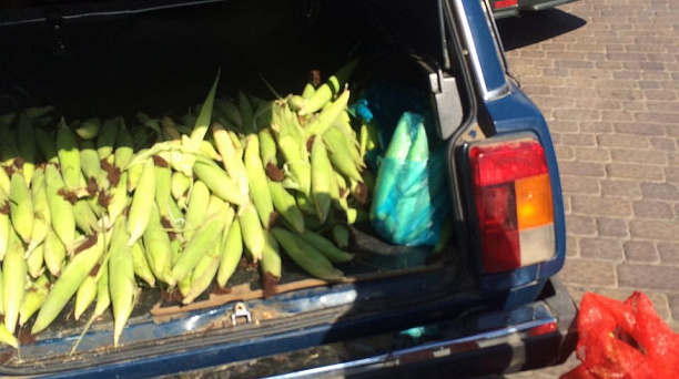 В Западном округе продолжается борьба с несанкционированной торговлей