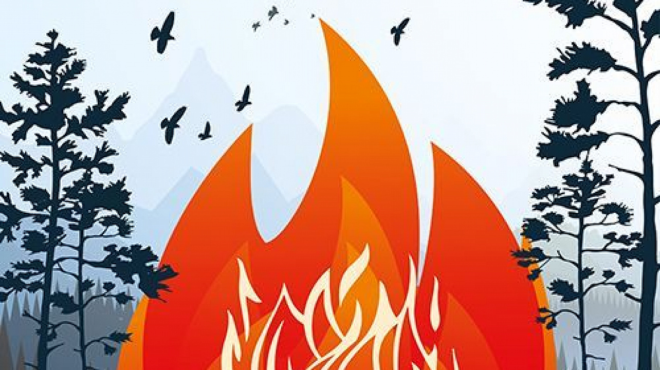 Берегите лес от пожара.jpg