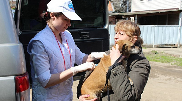 В Центральном округе прошла вакцинация животных