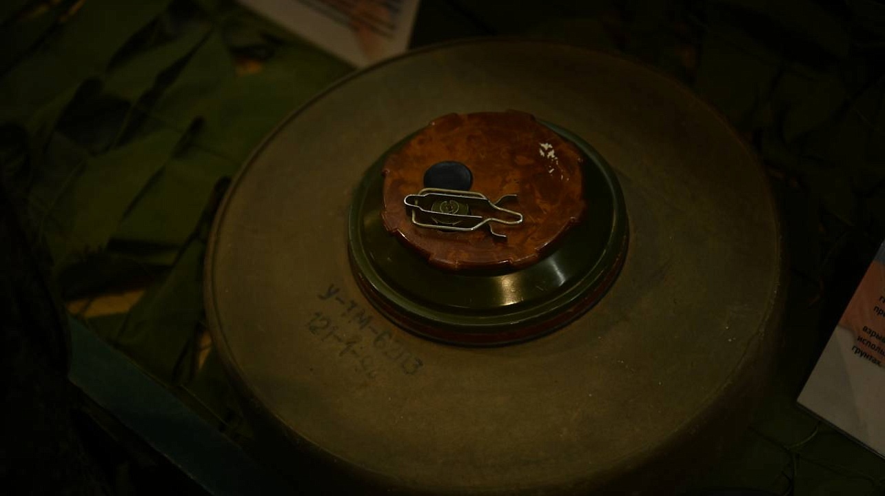 Фото: Андрей Зубов