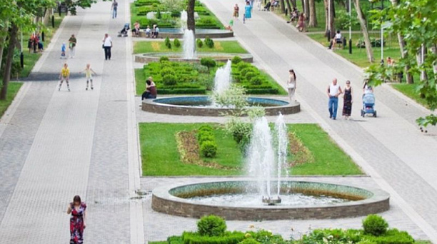 Глава Краснодара поручил организовать закупку взрослых деревьев для высадки в парках города