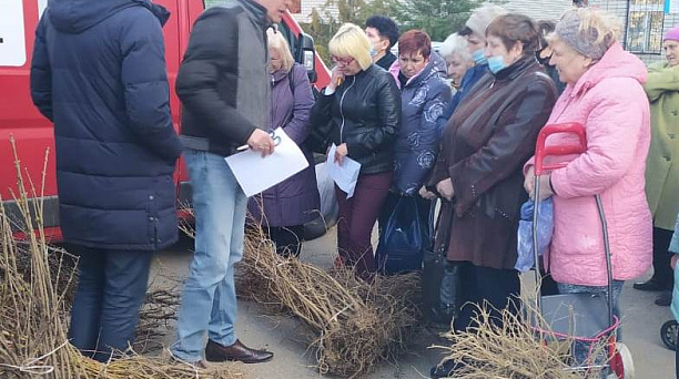 ТОС Комсомольского микрорайона приняли участие в акции «Краснодар – 10 тысяч деревьев»