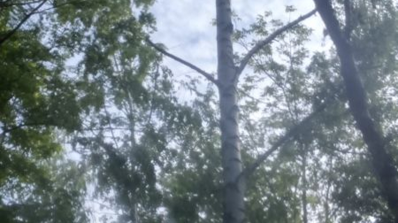 Фото: Пресс-служба администрации Краснодара