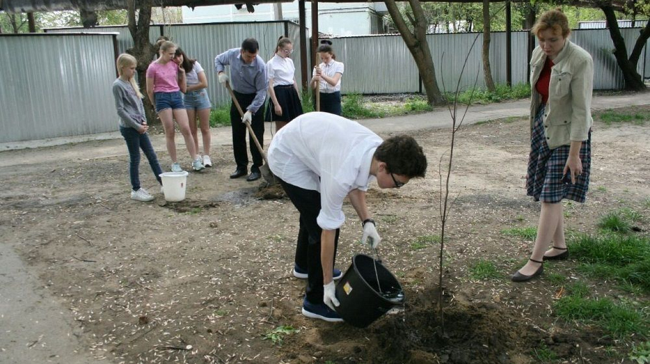 Учащиеся лицея № 64 присоединились к челленджу «Краснодар -10 тысяч деревьев»