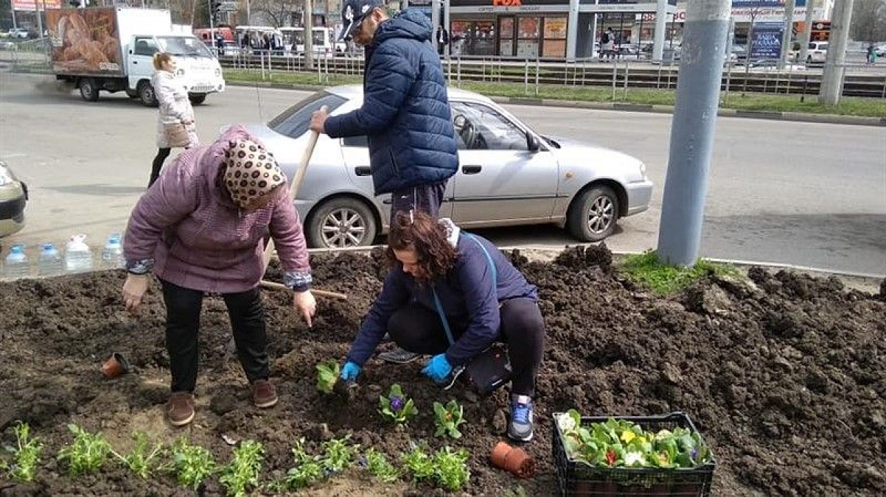 Краснодару - 10 тысяч деревьев.jpg