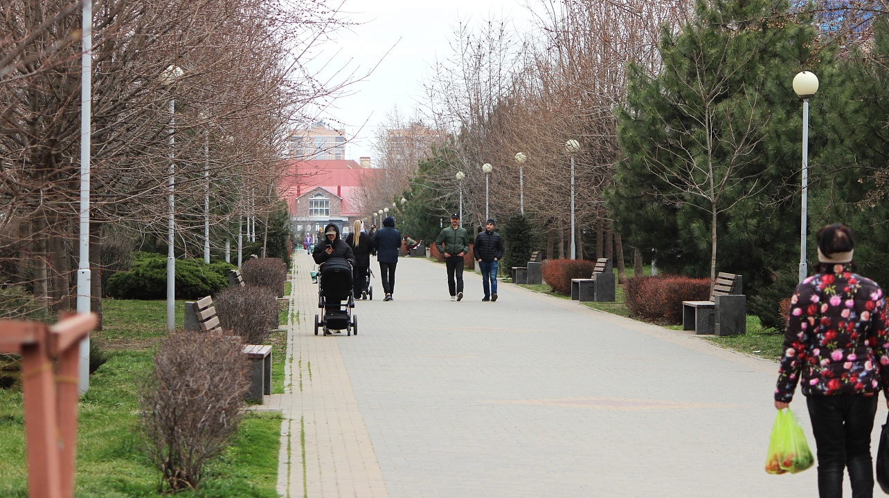 Фото: городская Дума Краснодара