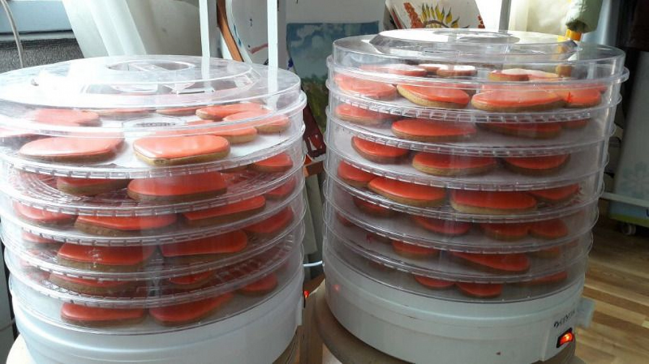 Центр развития благотворительных программ «Край Милосердия» провел благотворительный флеш-моб.jpg