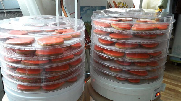 Центр развития благотворительных программ «Край Милосердия» провел благотворительный флеш-моб