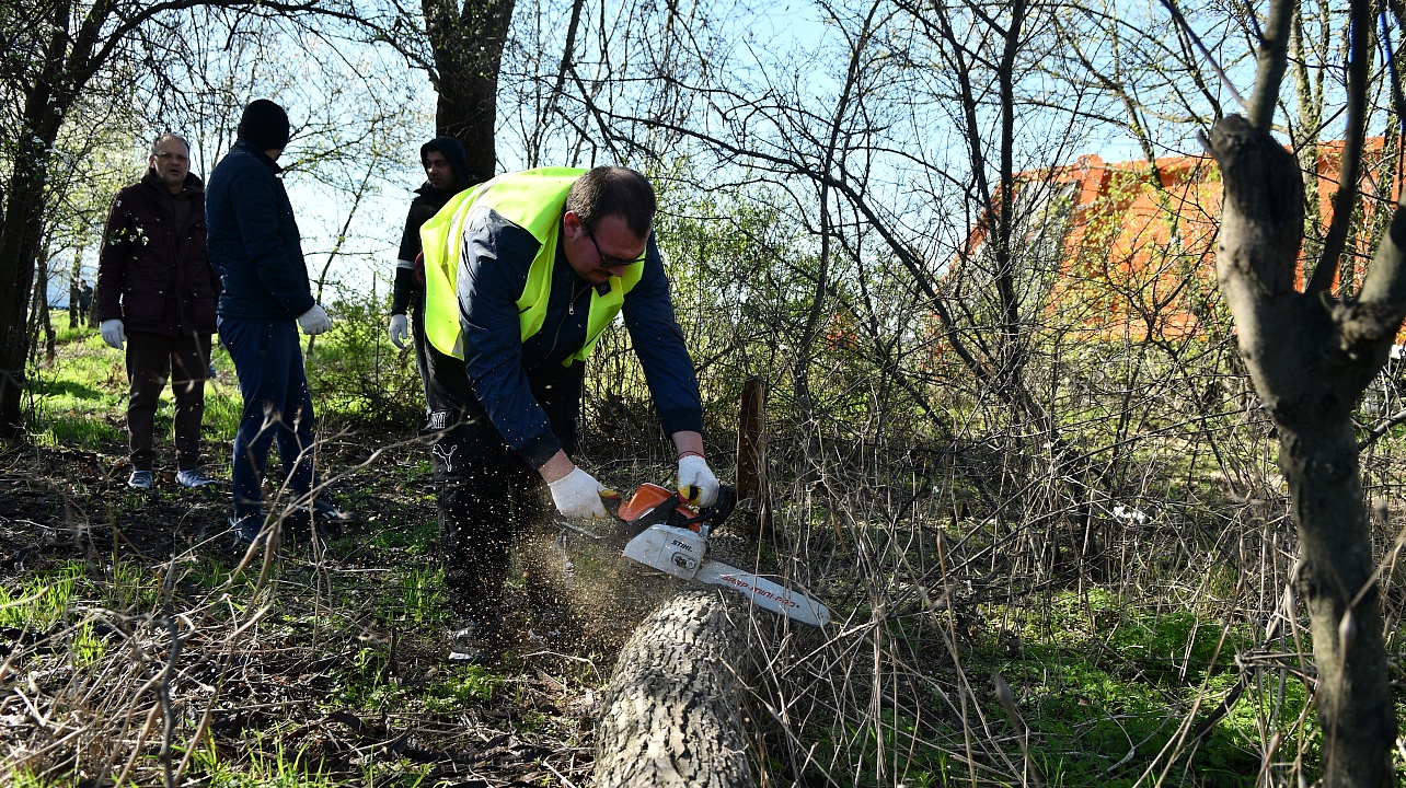 Фото: Александр Райко