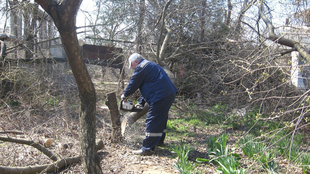В  Краснодаре подведены итоги Всероссийского экологического  субботника