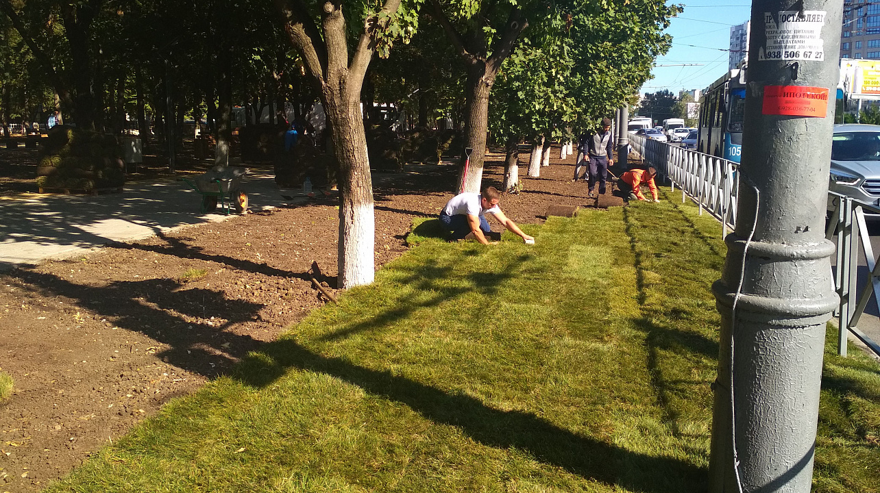 Реконструкция сквера «Фестивального» близится к завершению