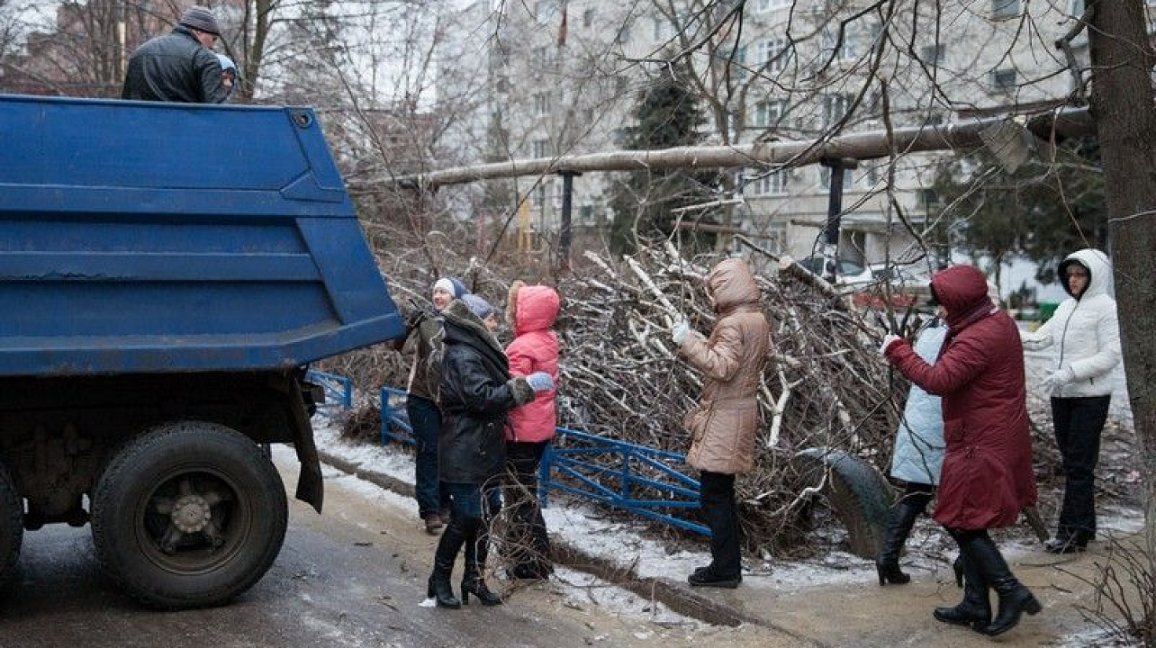 В Краснодаре в ходе субботников по расчистке улиц вывезено более 20 тыс. кубометров упавших деревьев и веток