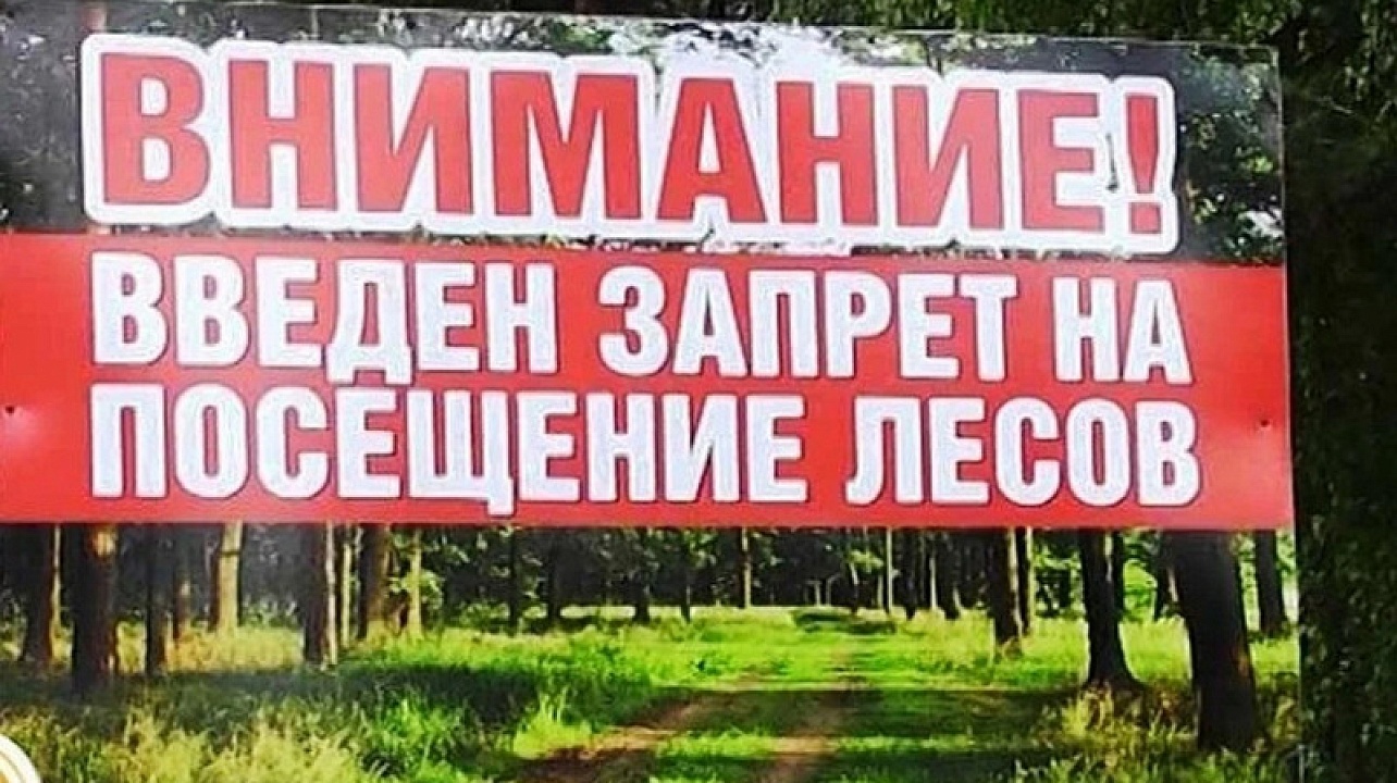 В Краснодарском крае введён особый режим пребывания в лесах с 6 по 26 сентября