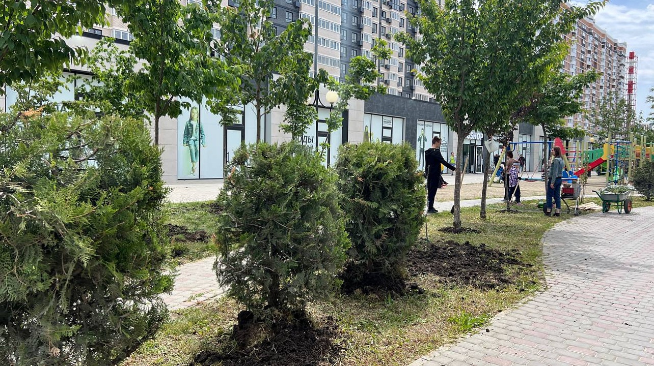 Фото: Пресс-служба администрации Краснодара