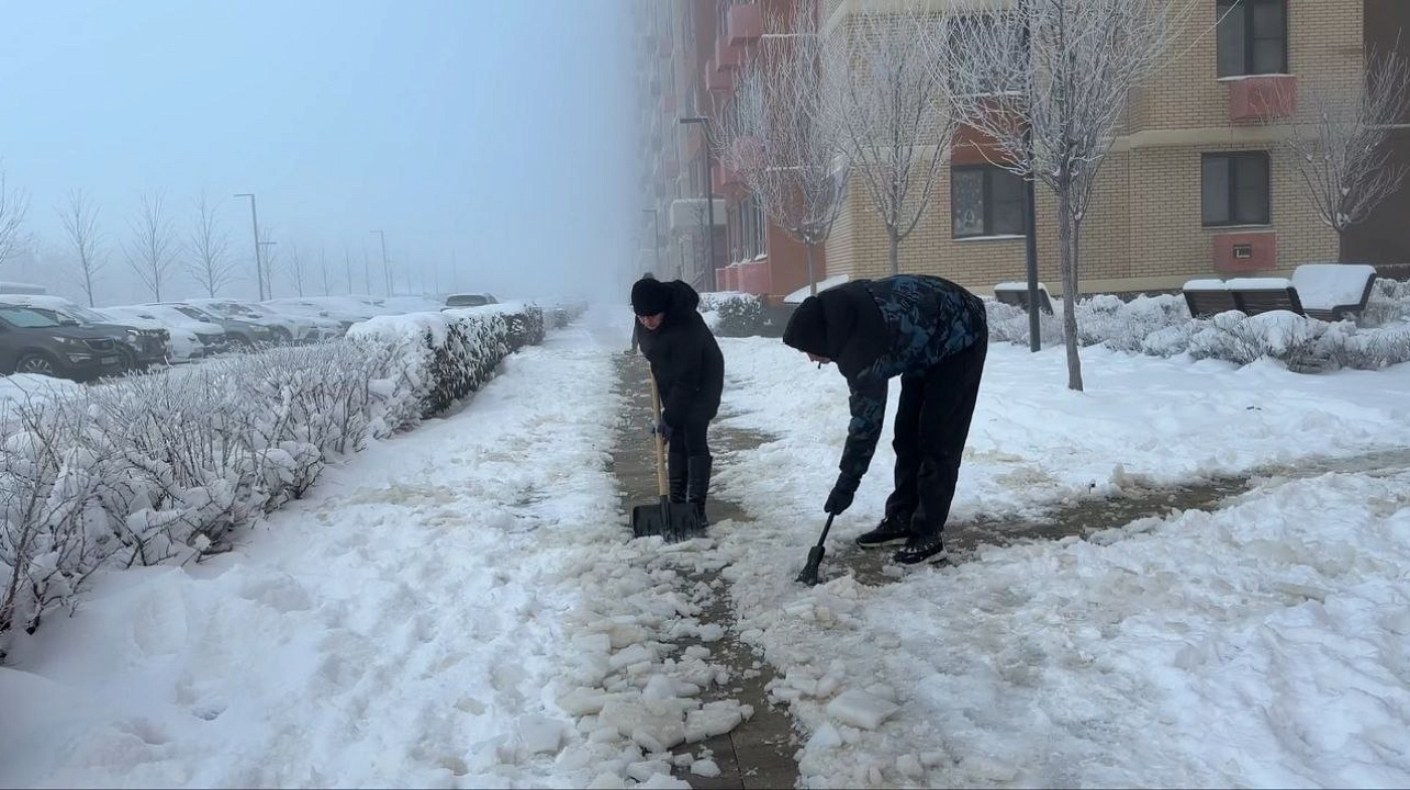 Фото: городская Дума Краснодара