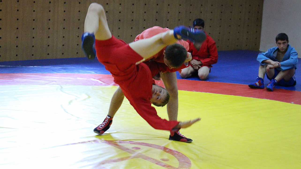 Самбо в ГТО