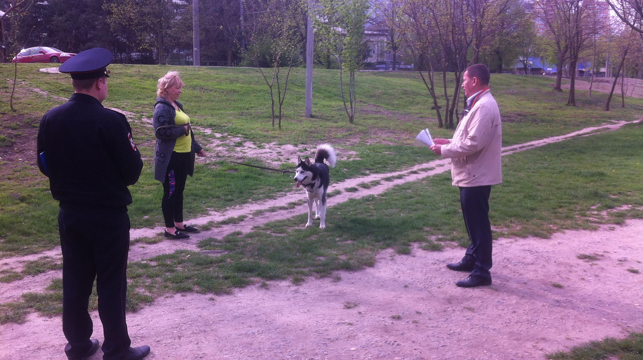 В Западном округе прошло рейдовое мероприятие по соблюдению правил содержания и выгула домашних животных