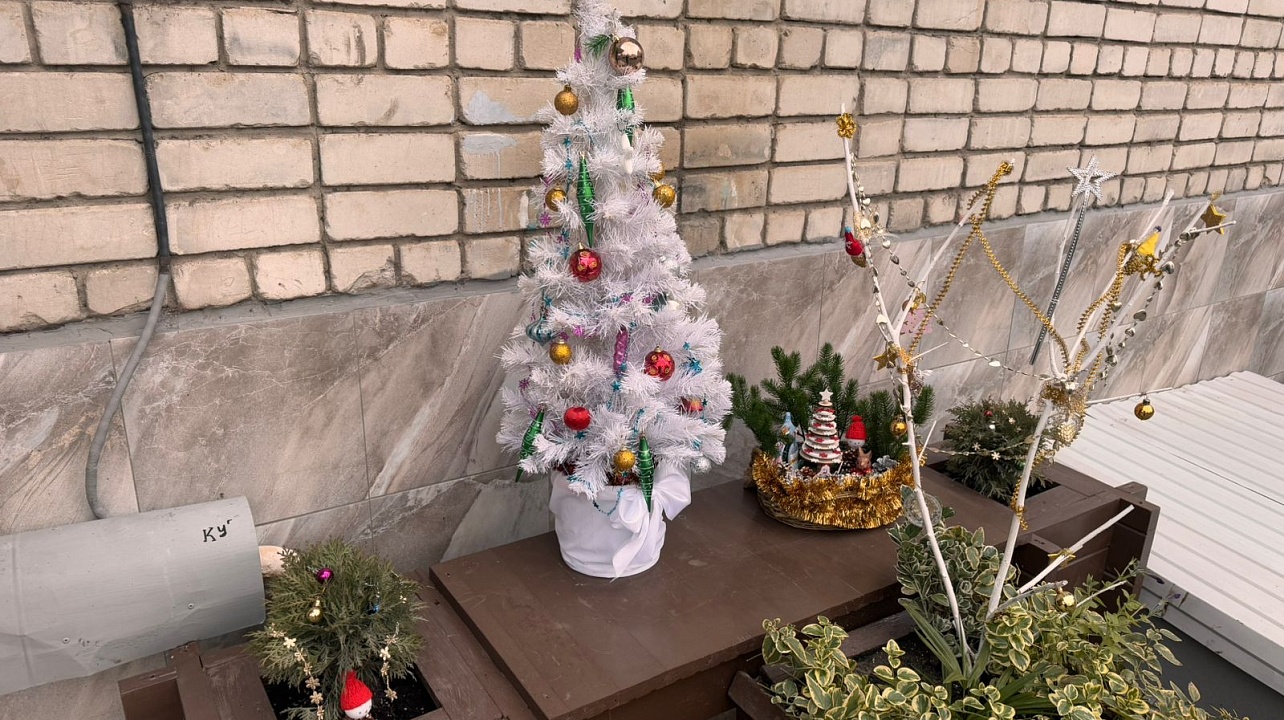 Фото: администрации Центрального округа