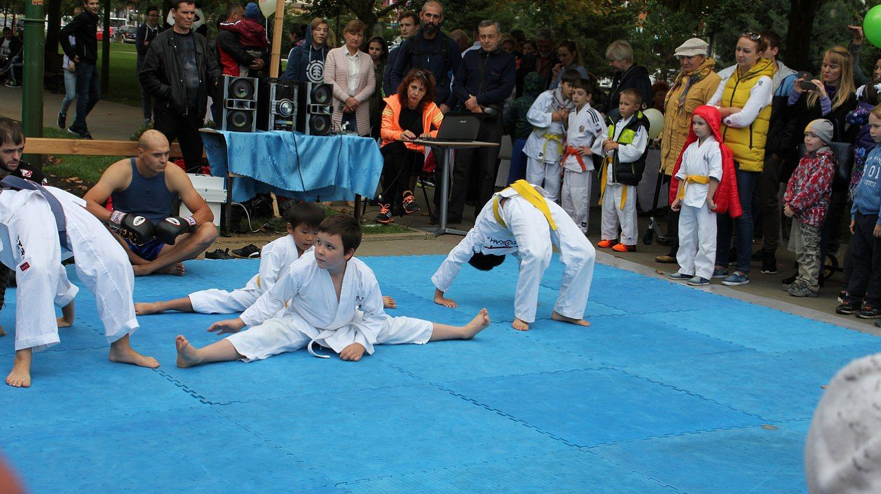 В Западном округе прошёл фестиваль боевых искусств: «Сыны отечества»