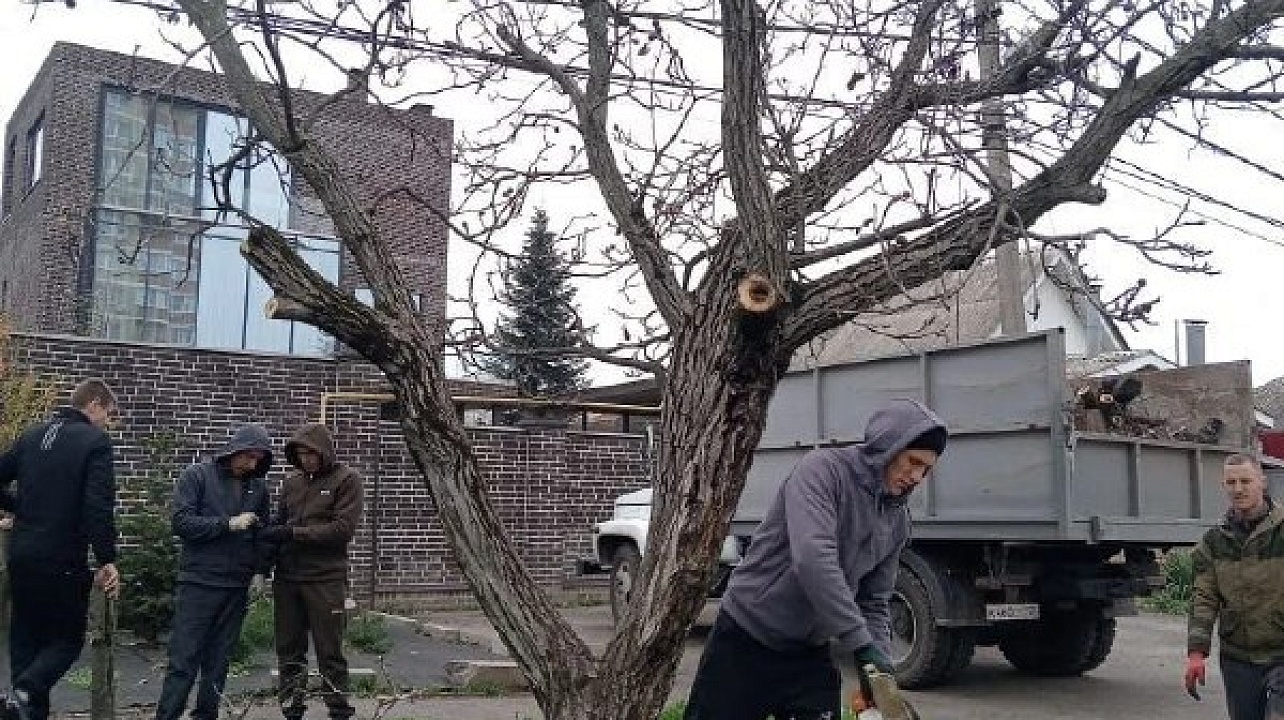 Фото: администрации Центрального округа