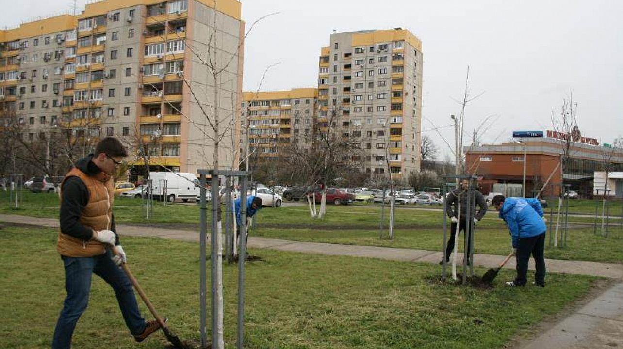 В Прикубанском округе с начала санитарного двухмесячника высажено около тысячи деревьев
