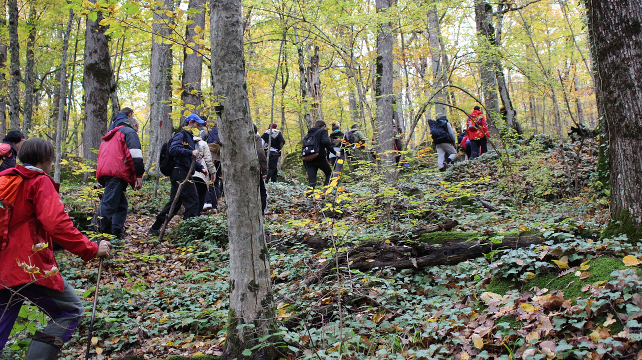 Краснодарцы приняли участие в выполнении норматива ГТО по туризму