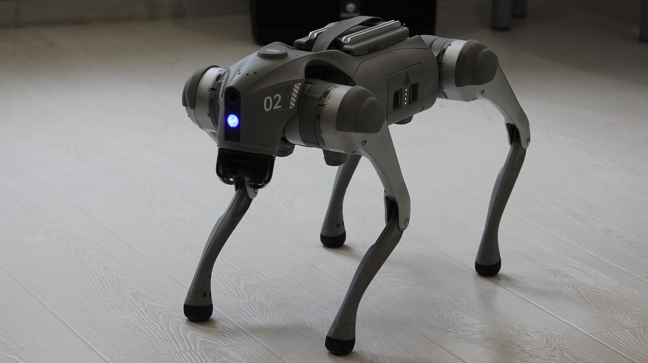 Фото: городская Дума Краснодара