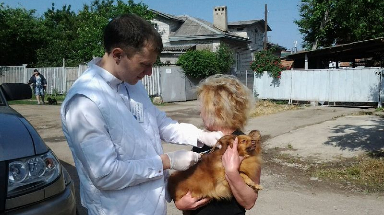 В Центральном округе прошла вакцинация животных