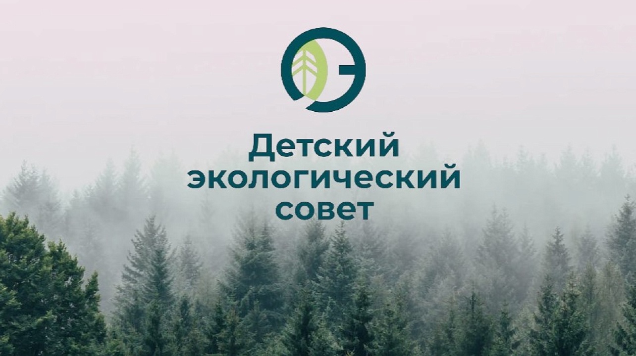 Изображение: vk.com/eco_dvizh_det_sovet