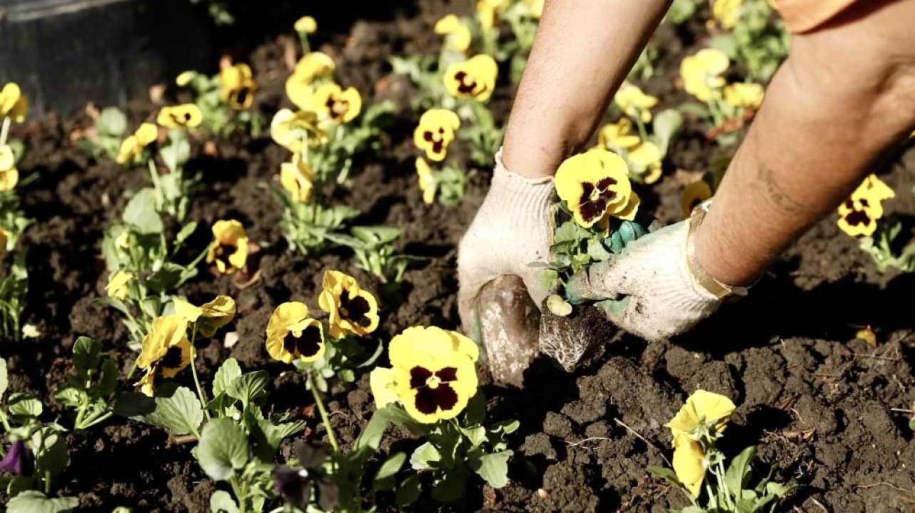 Фото: Александр Райко, Станислав Телеховец