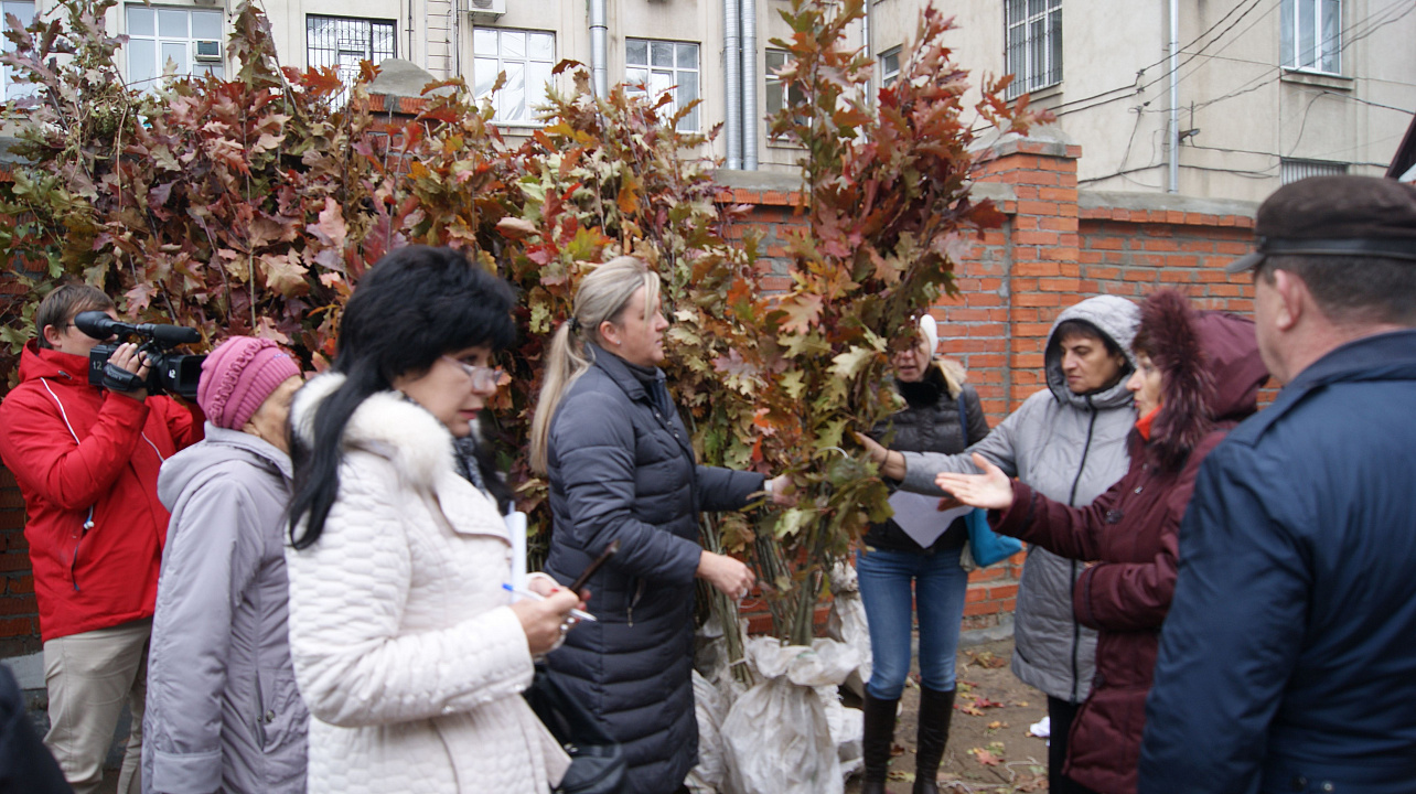 В Западном округе прошла акция «Любишь свой город — посади дерево»