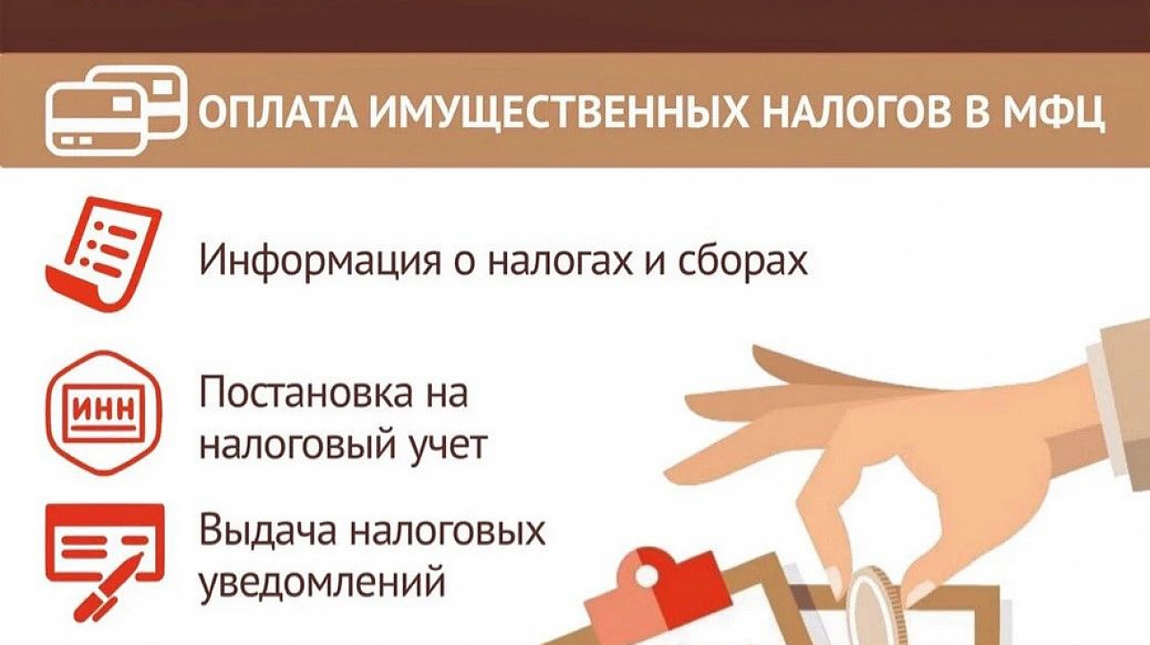 Какие услуги ФНС можно получить в МФЦ