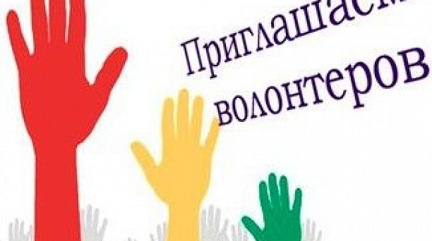 В Краснодаре продолжается набор волонтеров