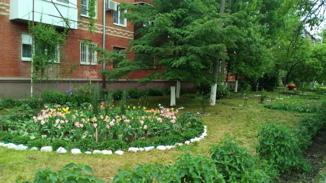 В Прикубанском округе подвели итоги окружного этапа смотра-конкурса