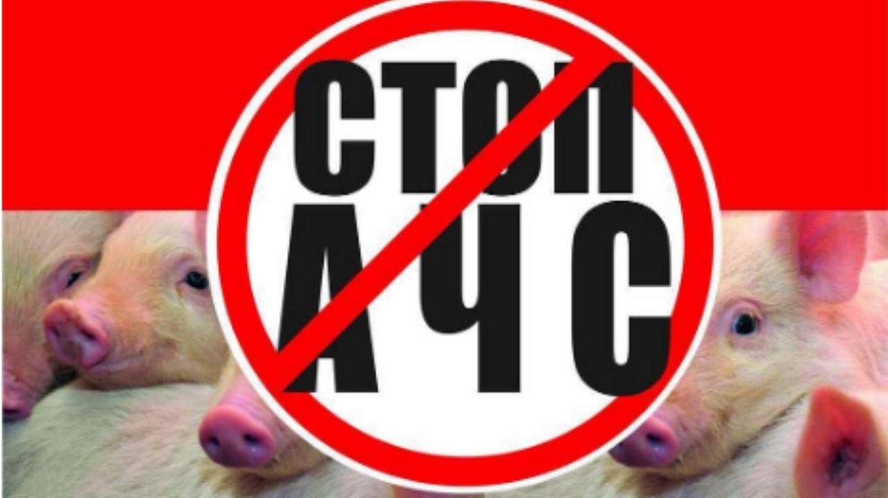 Фото: Управление торговли и бытового обслуживания населения администрации Краснодара