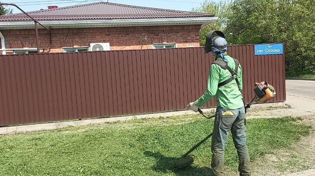 В Центральном округе продолжается работа по борьбе с амброзией