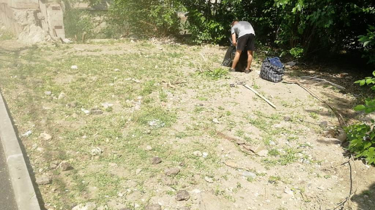 В Западном округе ведется работа  по уничтожению сорной растительности