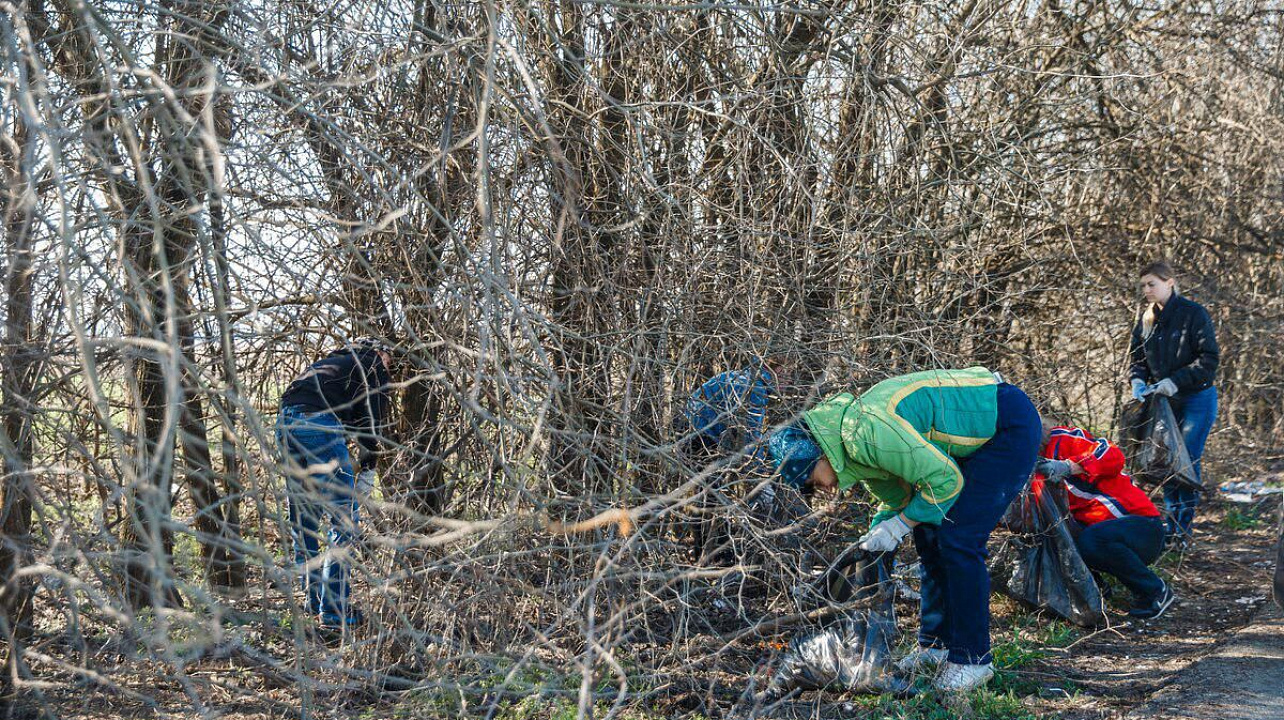 Фото: Даниил Коноплев