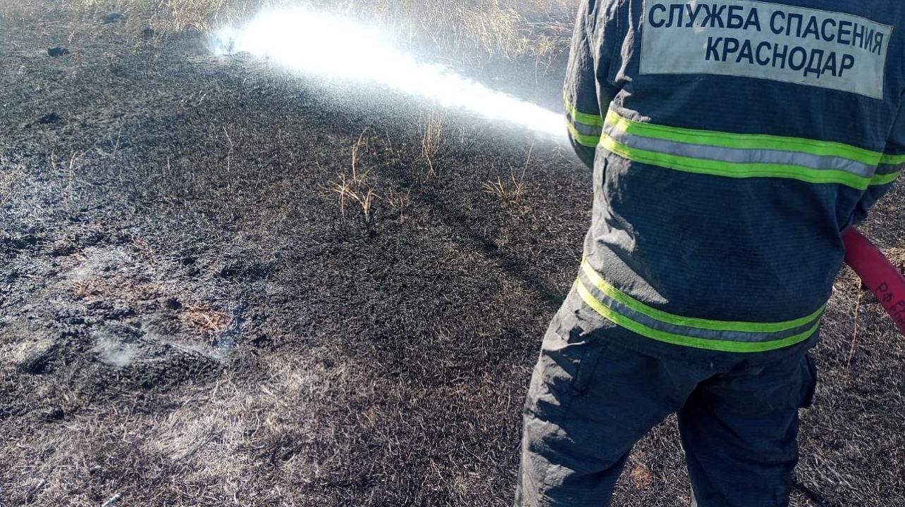 Фото: Пресс-служба администрации Краснодара