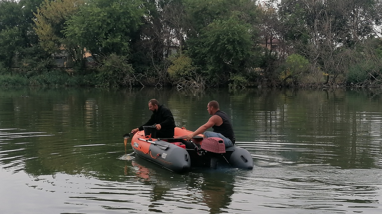 Фото: МКУ «Центр озеленения и экологии»