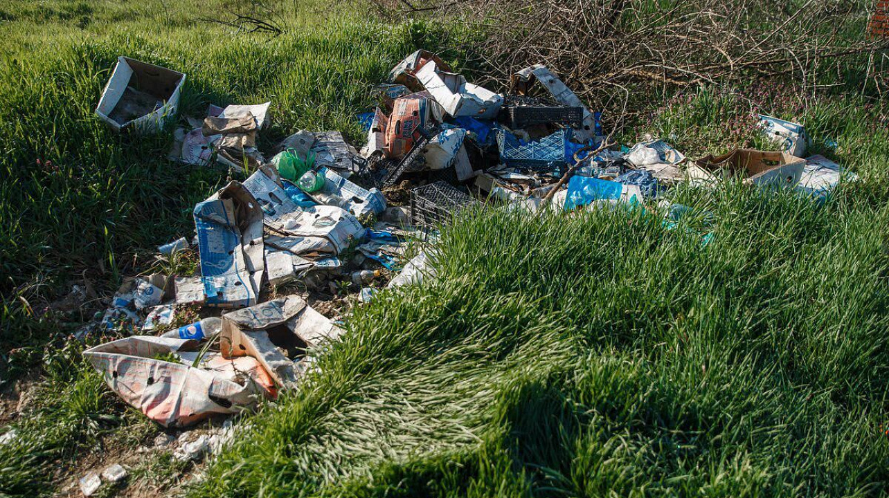 Фото: Даниил Коноплев