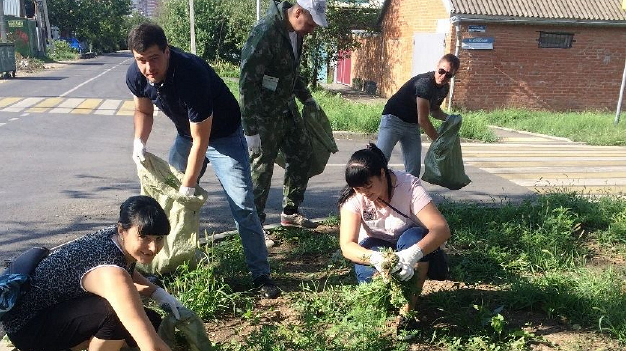 В Западном округе продолжается ликвидация амброзии