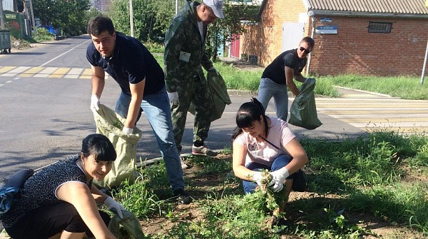 В Западном округе продолжается ликвидация амброзии