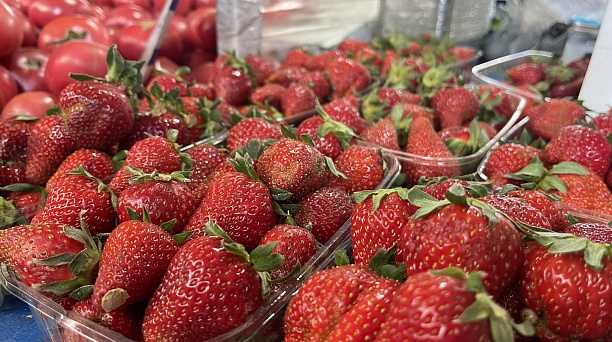 За сезонными фруктами и овощами – на ярмарки выходного дня