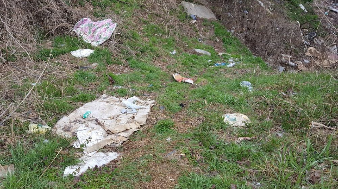 В ходе экологического флешмоба в Краснодаре очистили от мусора участок в районе сквера 80-летия образования Краснодарского края