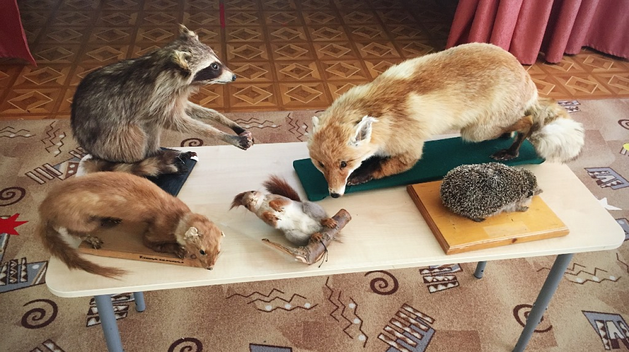 В детском саду № 233 побывала выездная  музейная выставка